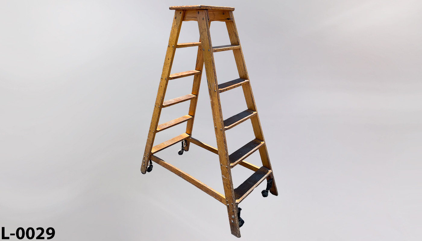 l_0029  Warehouse Ladder