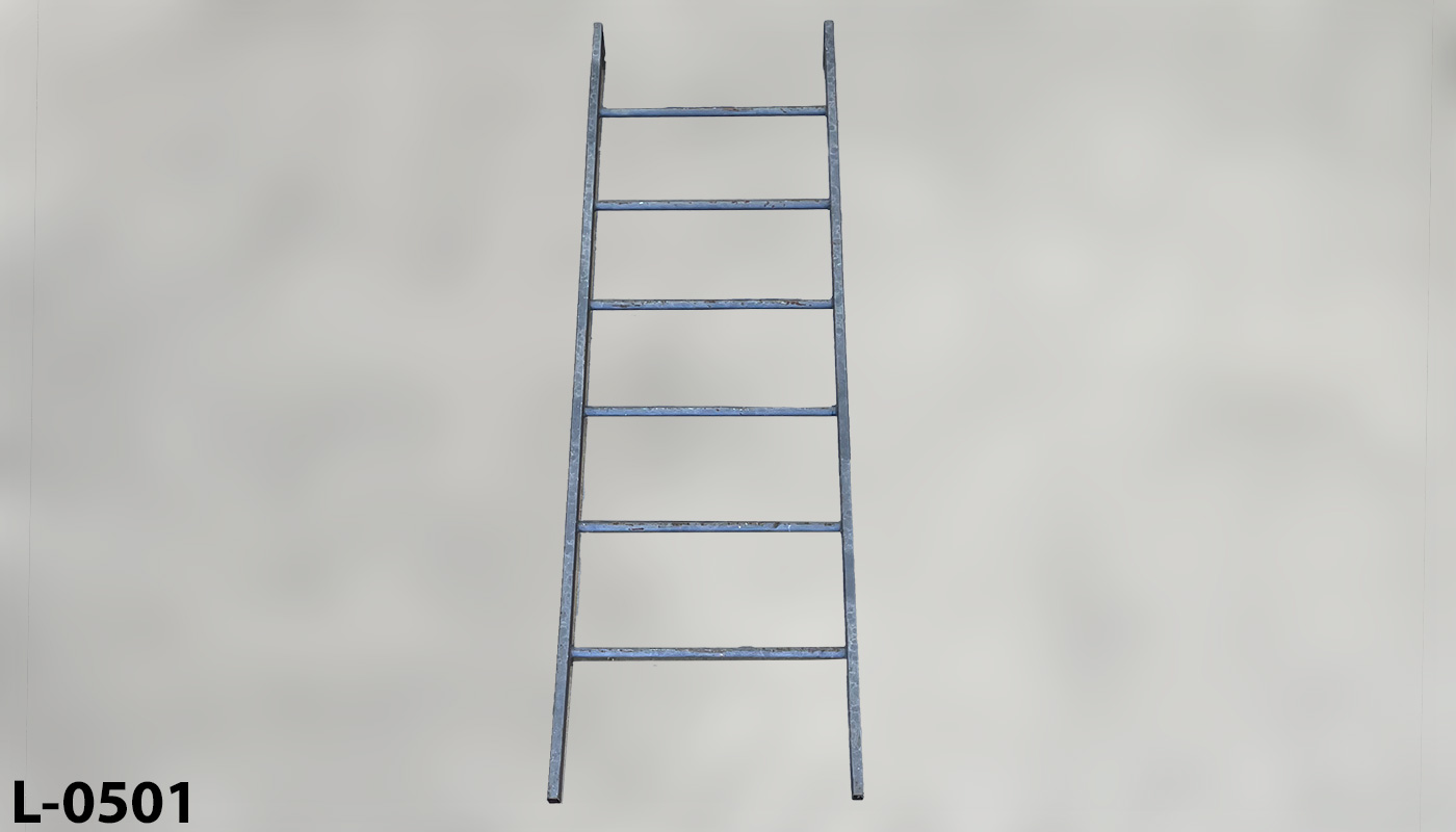 l_0501 Rooftop Access Ladder