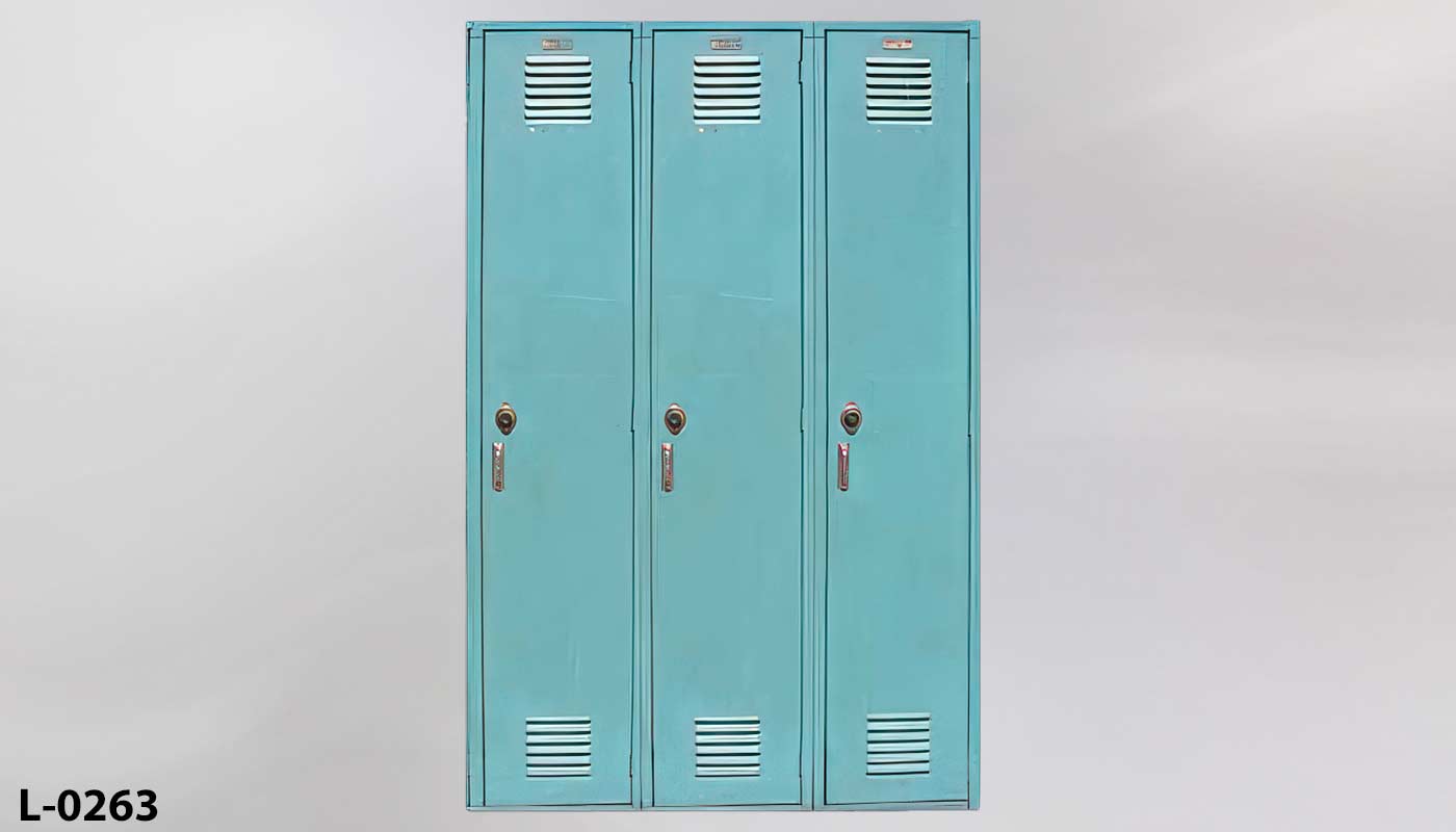 Locker, stock number L-0263