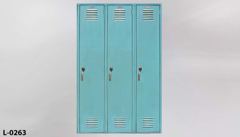 Locker, stock number L-0263