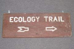 Sign-Ecology Trail, stock number S-1877